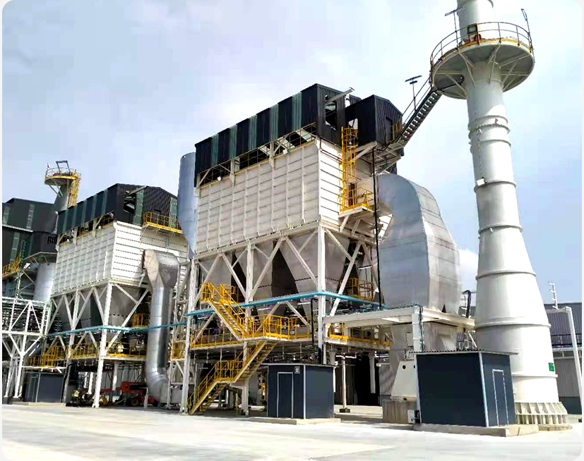 Pulvis publicanus in ferro plant